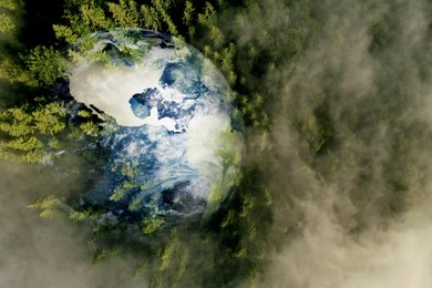 Save the planet. Aerial view of coniferous forest and planet Earth, double exposure