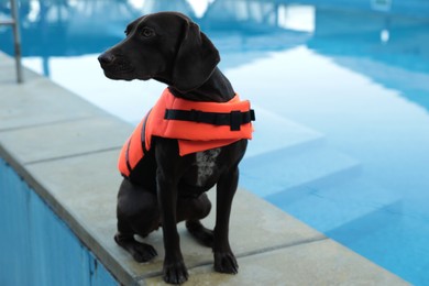 Photo of Dog rescuer in life vest near swimming pool outdoors