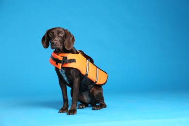 Photo of Dog rescuer in life vest on light blue background. Space for text