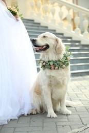 Photo of Bride and adorable Golden Retriever wearing wreath made of beautiful flowers outdoors, closeup