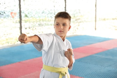 Photo of Boy in kimono practicing karate on tatami outdoors
