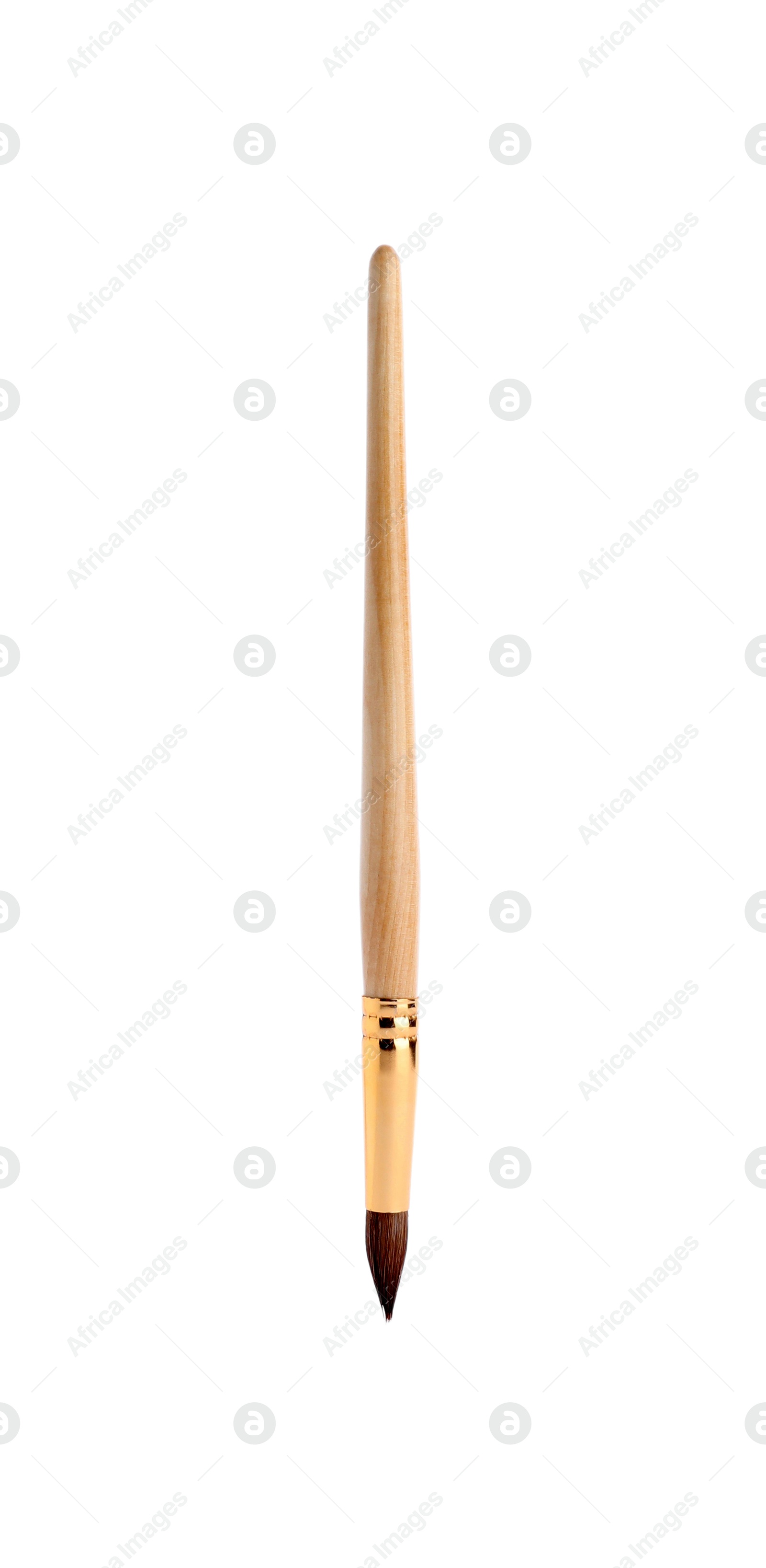 Photo of Paint brush with wooden handle isolated on white