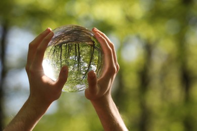 Green trees outdoors, overturned reflection. Man holding crystal ball in forest, closeup. Space for text