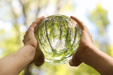 Green trees outdoors, overturned reflection. Man holding crystal ball in forest, closeup