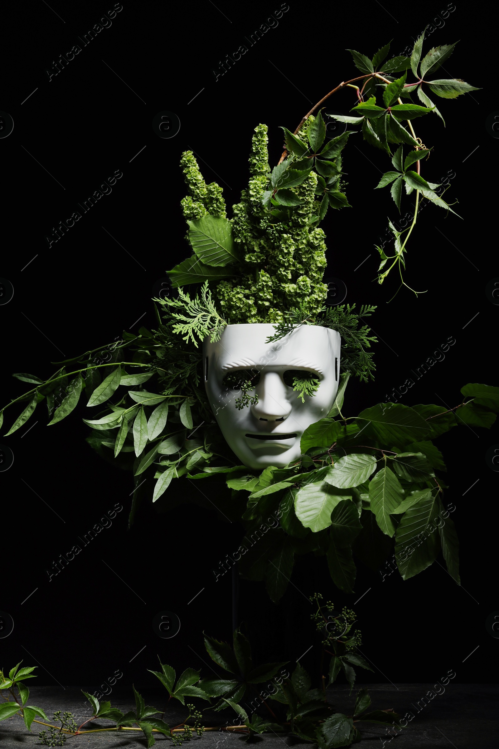 Photo of Theatrical performance. Plastic mask and floral decor on table against black background