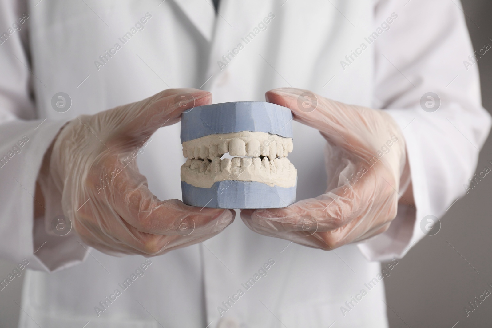 Photo of Doctor holding dental model with jaws on grey background, selective focus. Cast of teeth