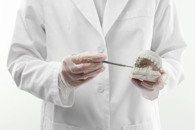 Photo of Doctor holding dental model with jaws and tool on white background, closeup. Cast of teeth