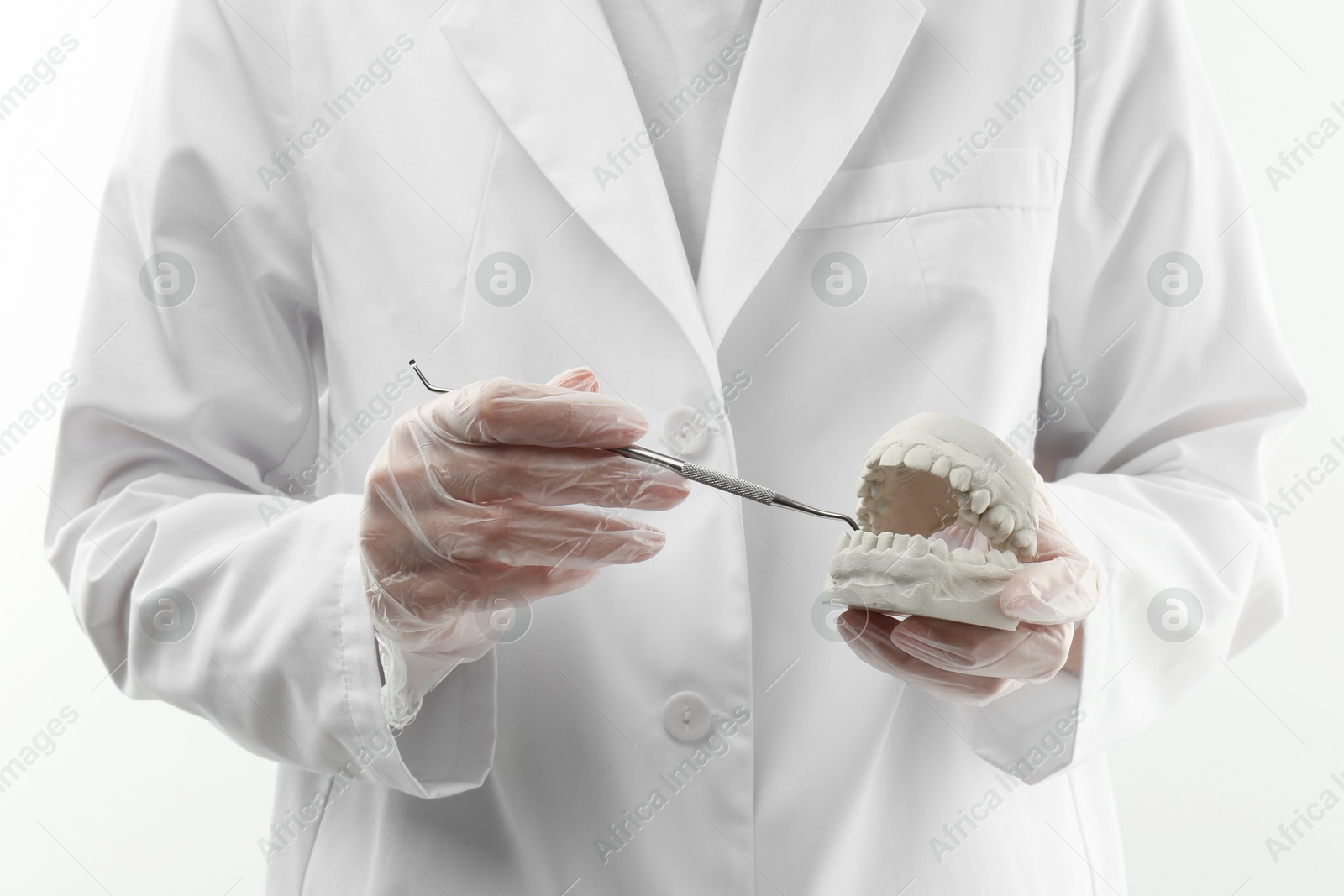 Photo of Doctor holding dental model with jaws and tool on white background, closeup. Cast of teeth