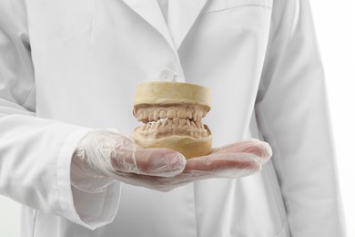 Photo of Doctor holding dental model with jaws on white background, closeup. Cast of teeth