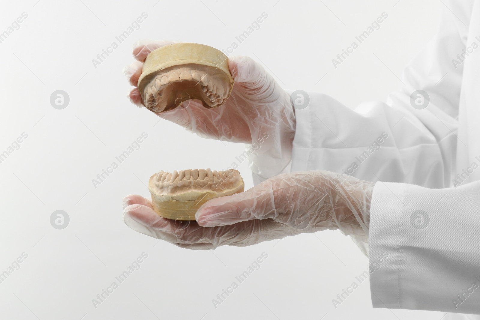 Photo of Doctor holding dental model with jaws on white background, closeup. Cast of teeth