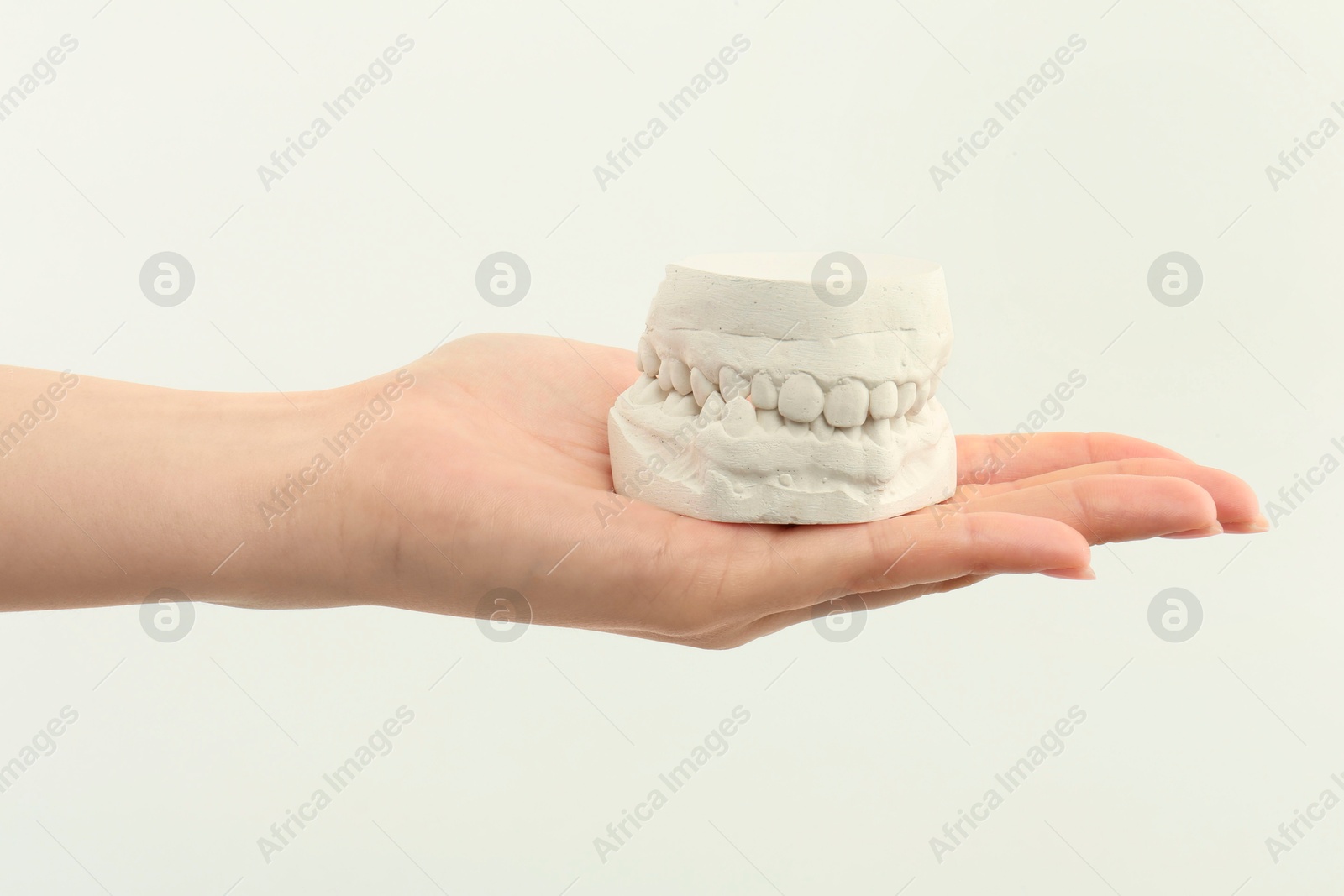 Photo of Woman holding dental model with jaws on white background, closeup. Cast of teeth