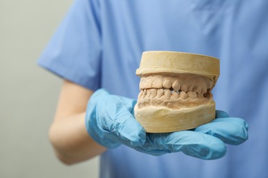 Doctor holding dental model with jaws on grey background, selective focus. Cast of teeth