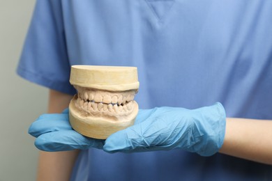 Doctor holding dental model with jaws on grey background, selective focus. Cast of teeth