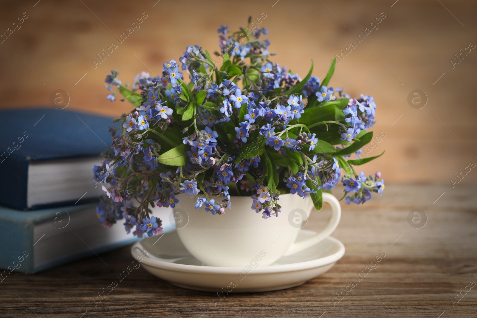 Photo of Beautiful forget-me-not flowers in cup, saucer and books on wooden table, closeup