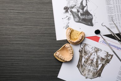 Dental model with gums, dentist tools, anatomy charts and space for text on grey wooden table, flat lay. Cast of teeth