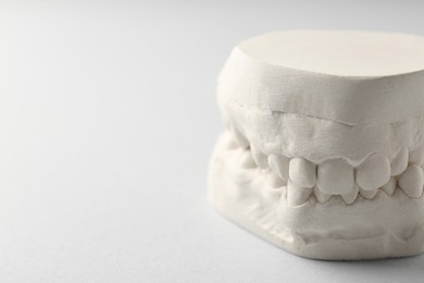 Photo of Dental model with gums on light grey background, closeup and space for text. Cast of teeth