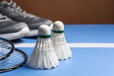 Feather badminton shuttlecocks and rackets on court, closeup. Space for text