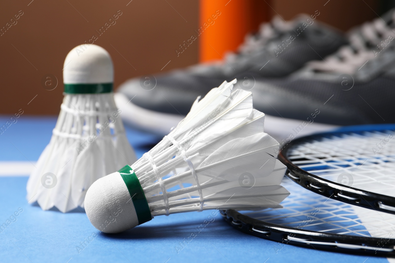 Photo of Feather badminton shuttlecocks and rackets on court, closeup