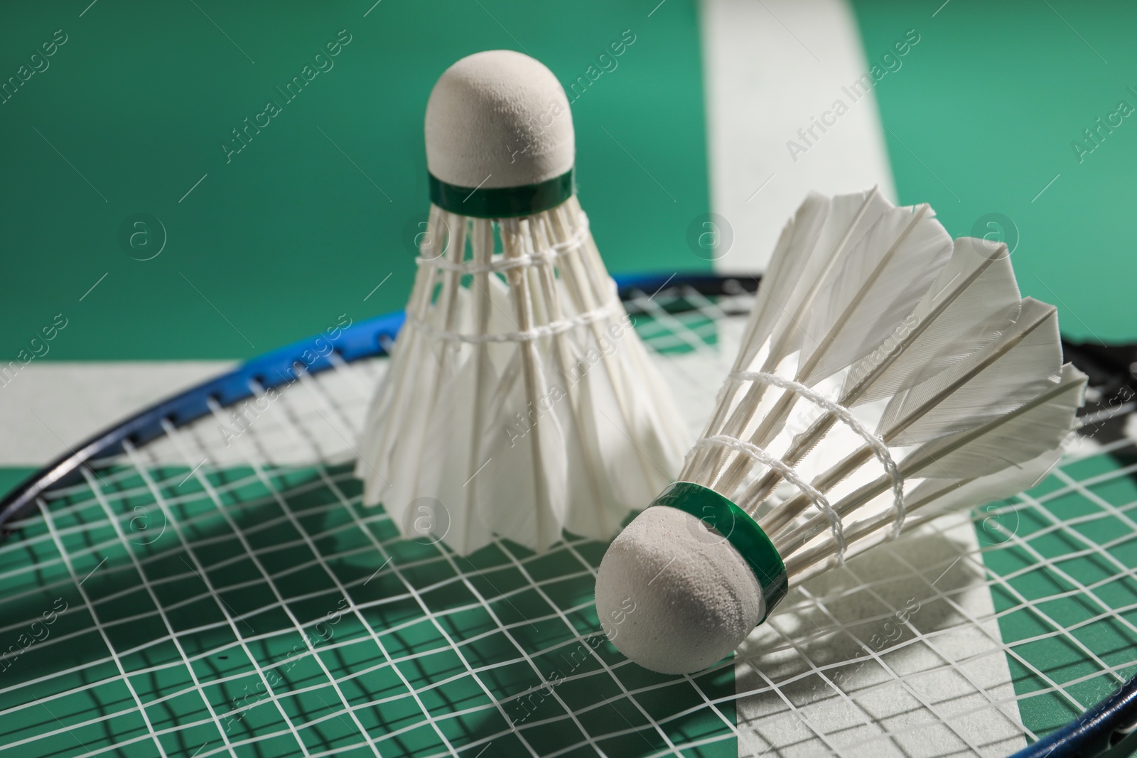 Photo of Feather badminton shuttlecocks and racket on court, closeup
