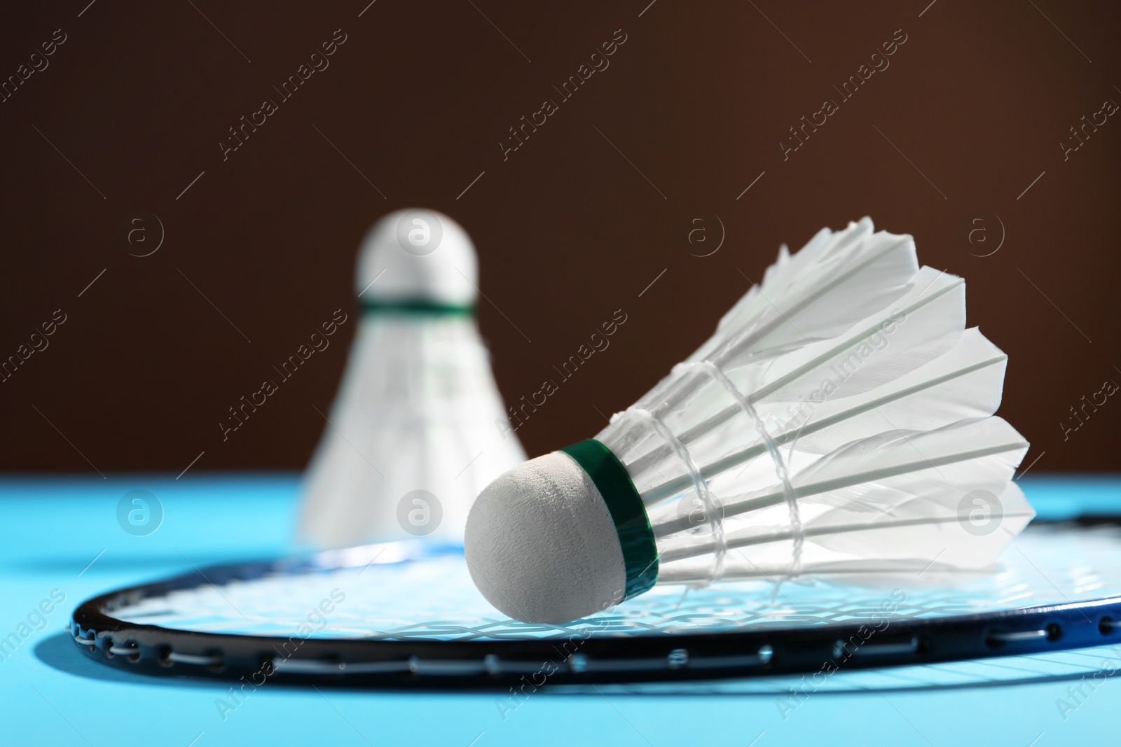 Photo of Feather badminton shuttlecocks and racket on court, selective focus