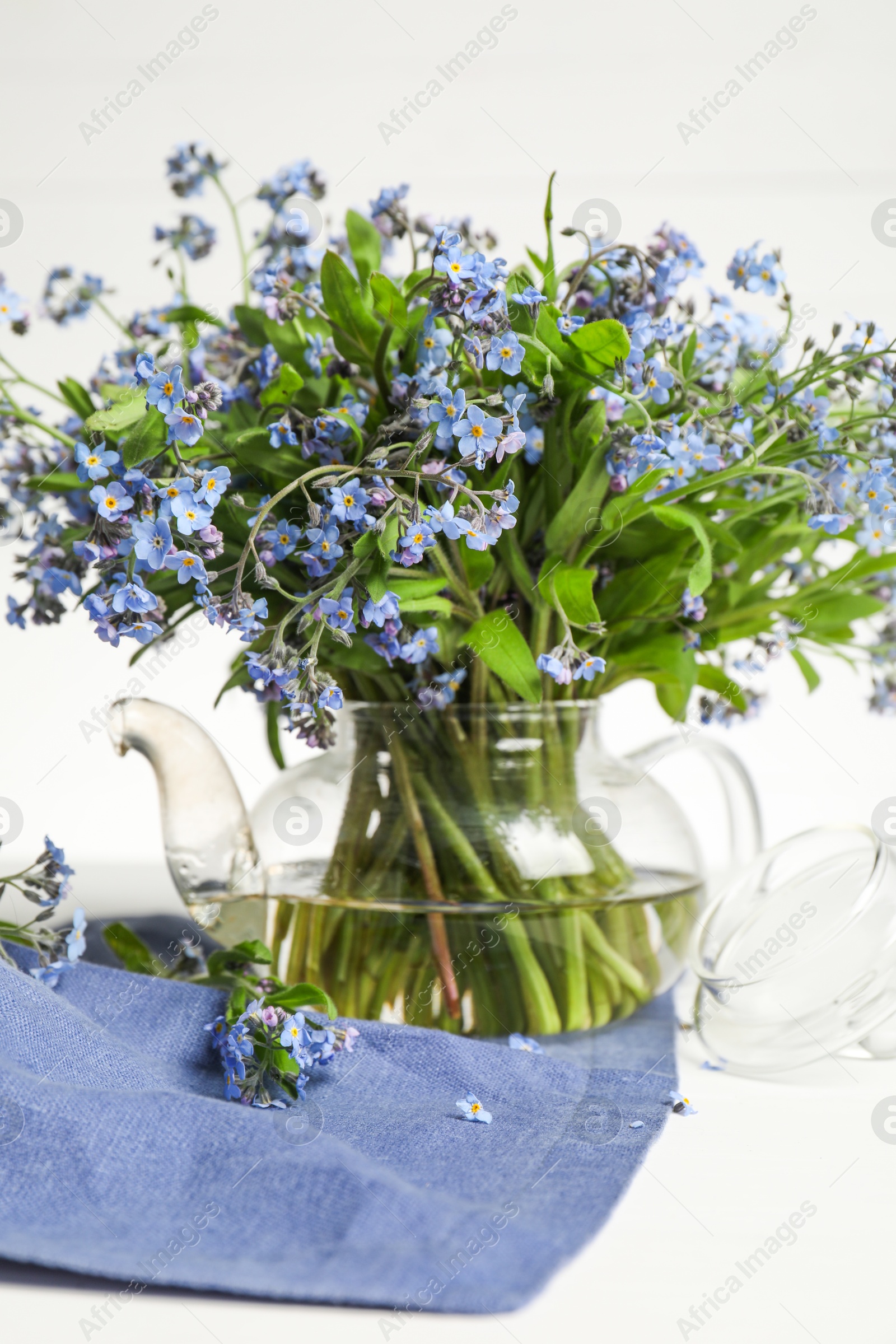 Photo of Bouquet of beautiful forget-me-not flowers in glass teapot and blue cloth on white table