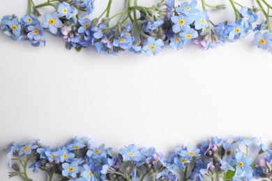 Photo of Beautiful forget-me-not flowers on white background, flat lay. Space for text