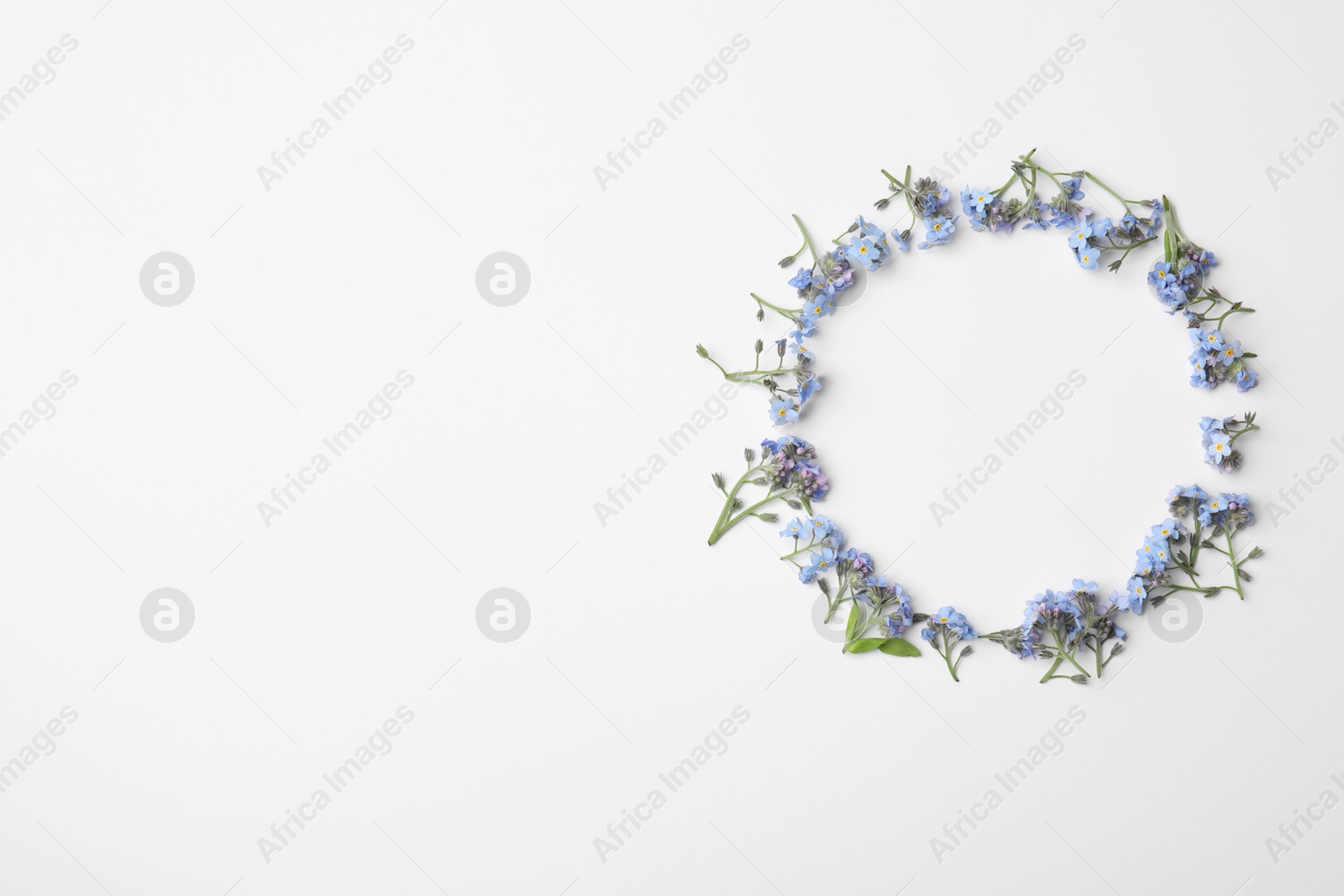 Photo of Round frame of beautiful forget-me-not flowers on white background, top view. Space for text
