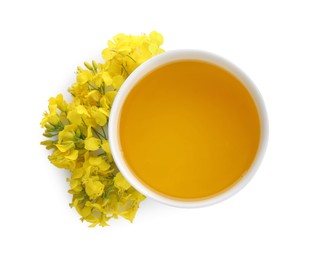 Rapeseed oil in bowl and beautiful yellow flowers isolated on white, top view