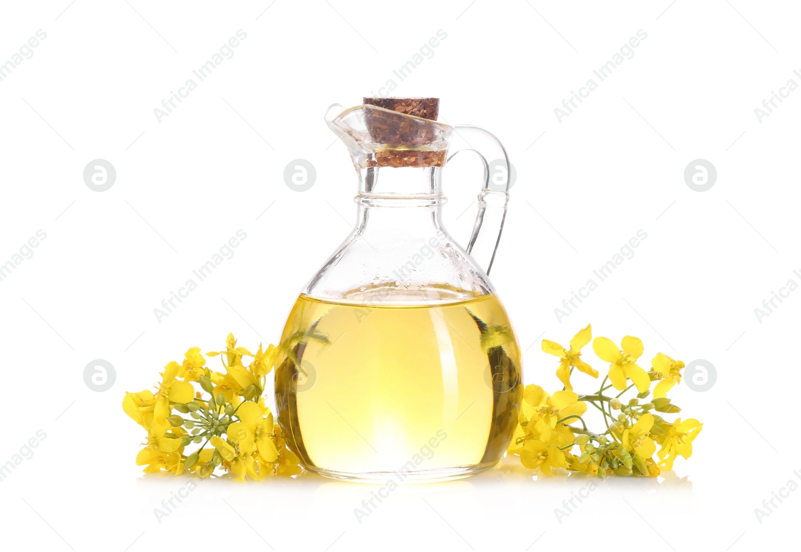 Photo of Rapeseed oil in glass jug and yellow flowers isolated on white