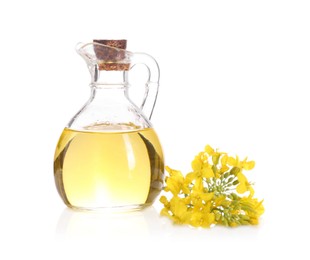 Rapeseed oil in glass jug and yellow flowers isolated on white
