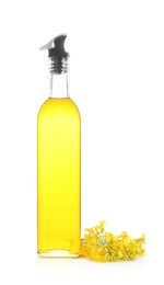 Rapeseed oil in glass bottle and yellow flowers isolated on white