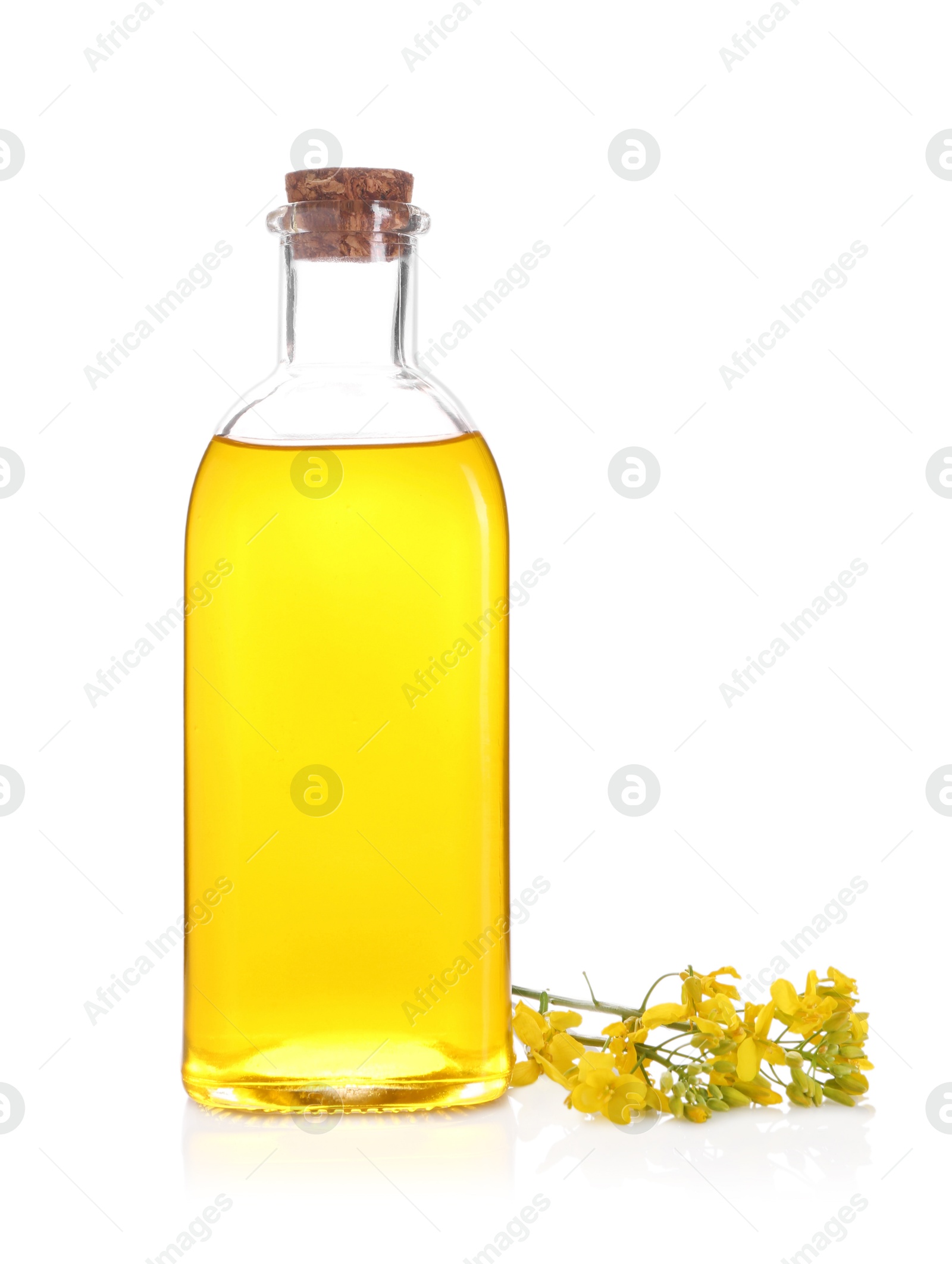 Photo of Rapeseed oil in glass bottle and yellow flowers isolated on white