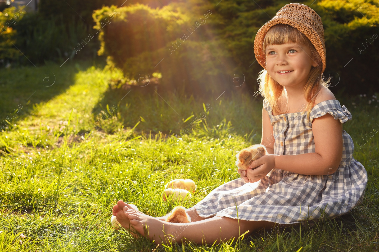 Photo of Little girl with cute chicks on green grass outdoors. Baby animals