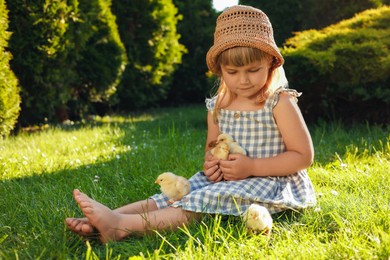 Little girl with cute chicks on green grass outdoors. Baby animals