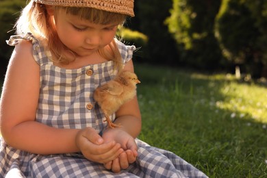 Little girl with cute chick on green grass outdoors. Baby animal