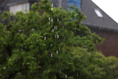 Blurred view of green tree and building on rainy day