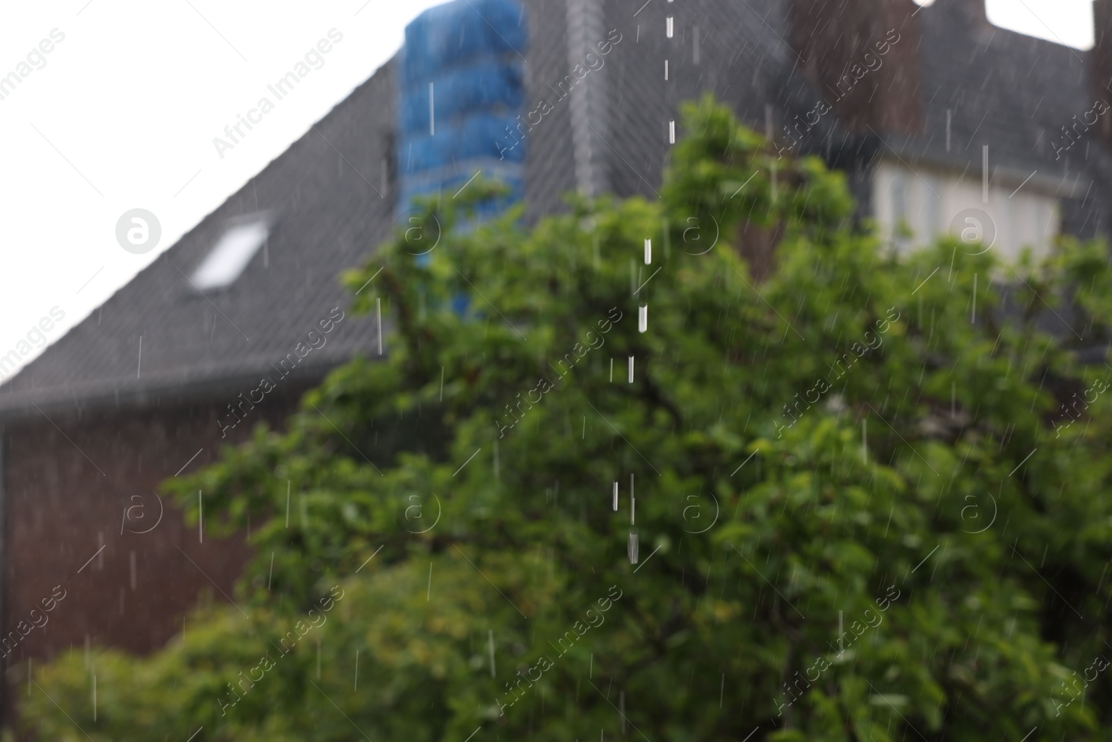 Photo of Blurred view of green tree and building on rainy day
