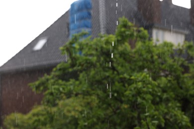 Blurred view of green tree and building on rainy day