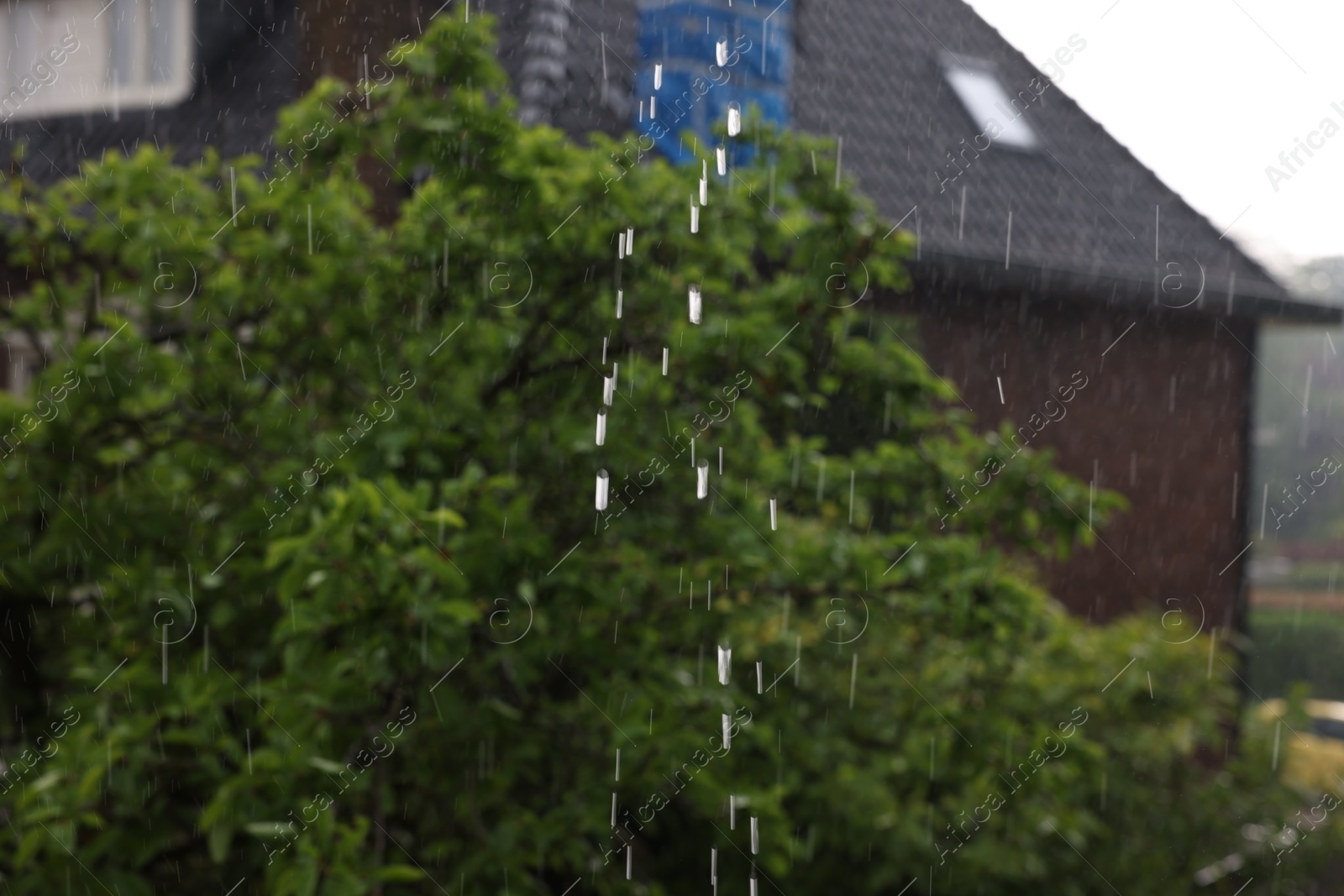 Photo of Blurred view of green tree and building on rainy day