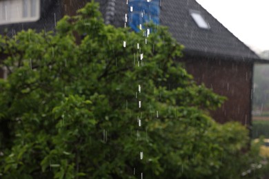 Blurred view of green tree and building on rainy day