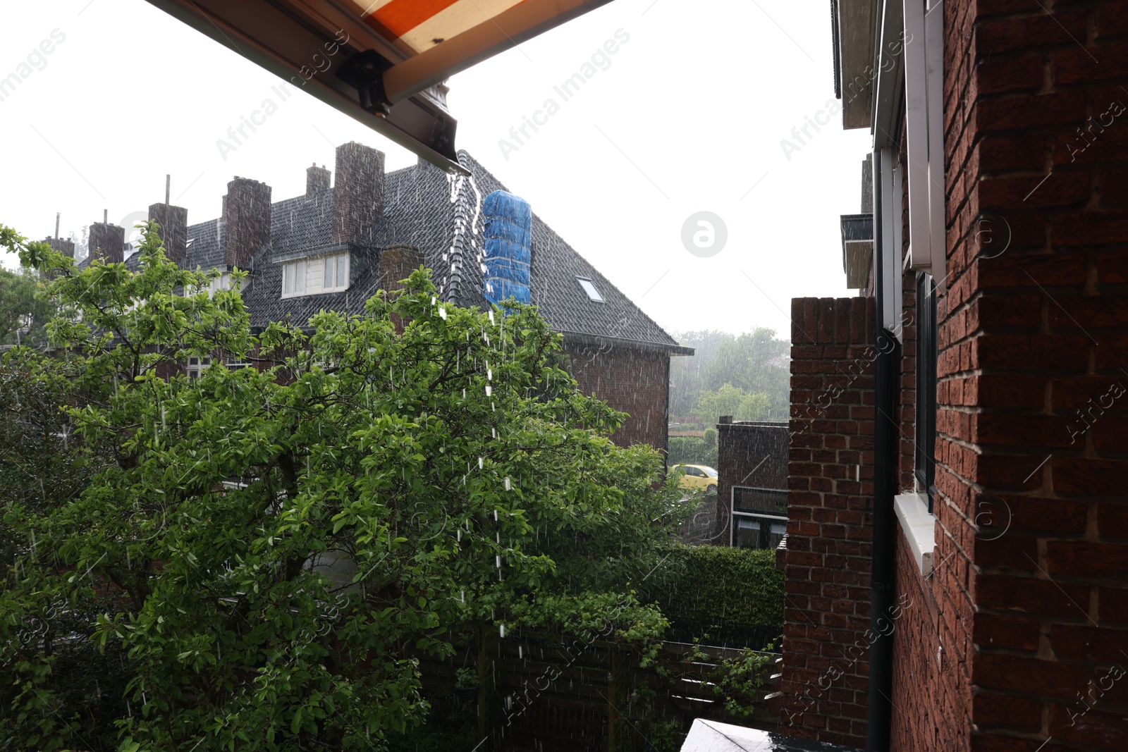 Photo of View of green trees and buildings on rainy day