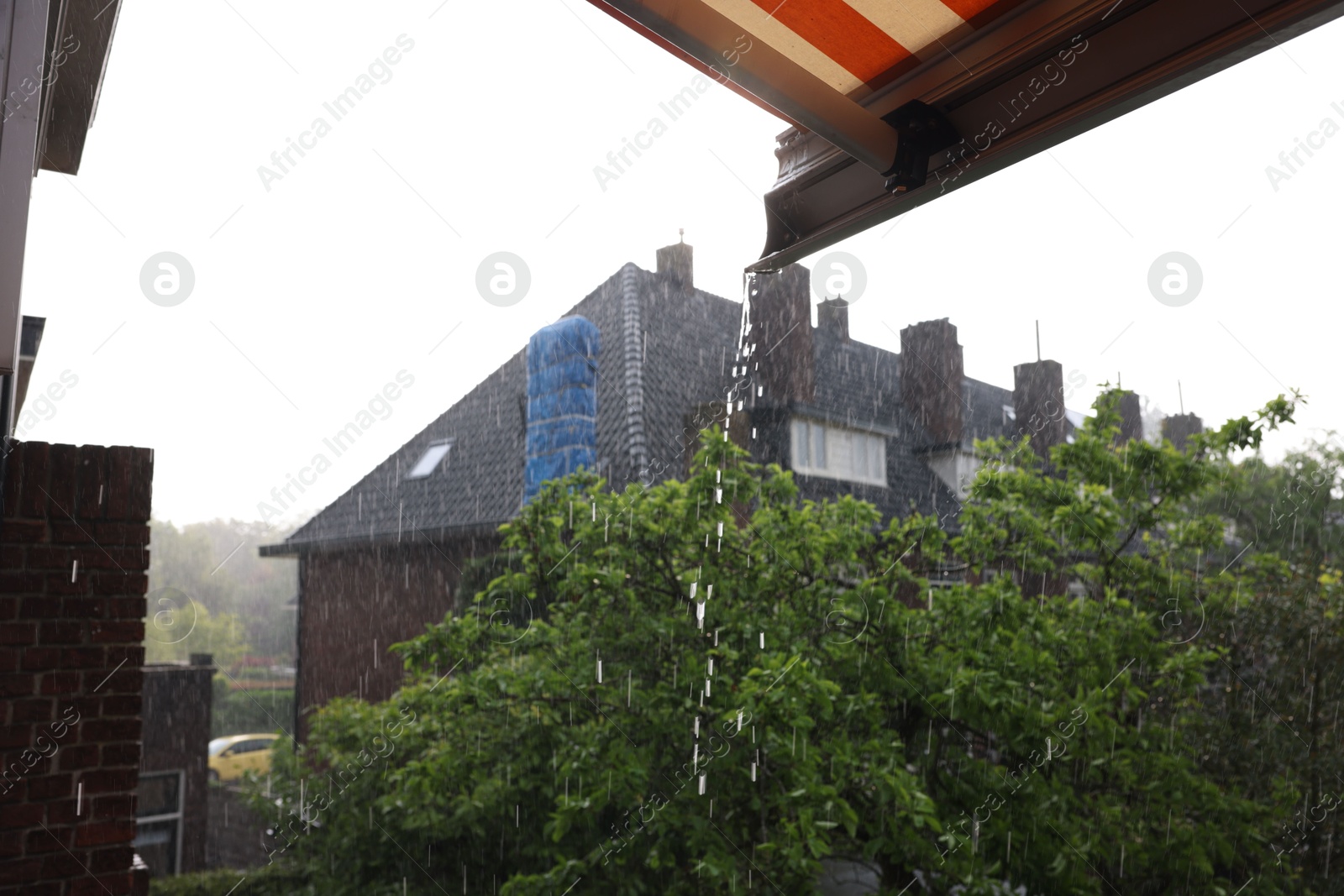 Photo of View of green tree and building on rainy day, selective focus