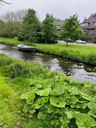 Canal with moored boat between green shores