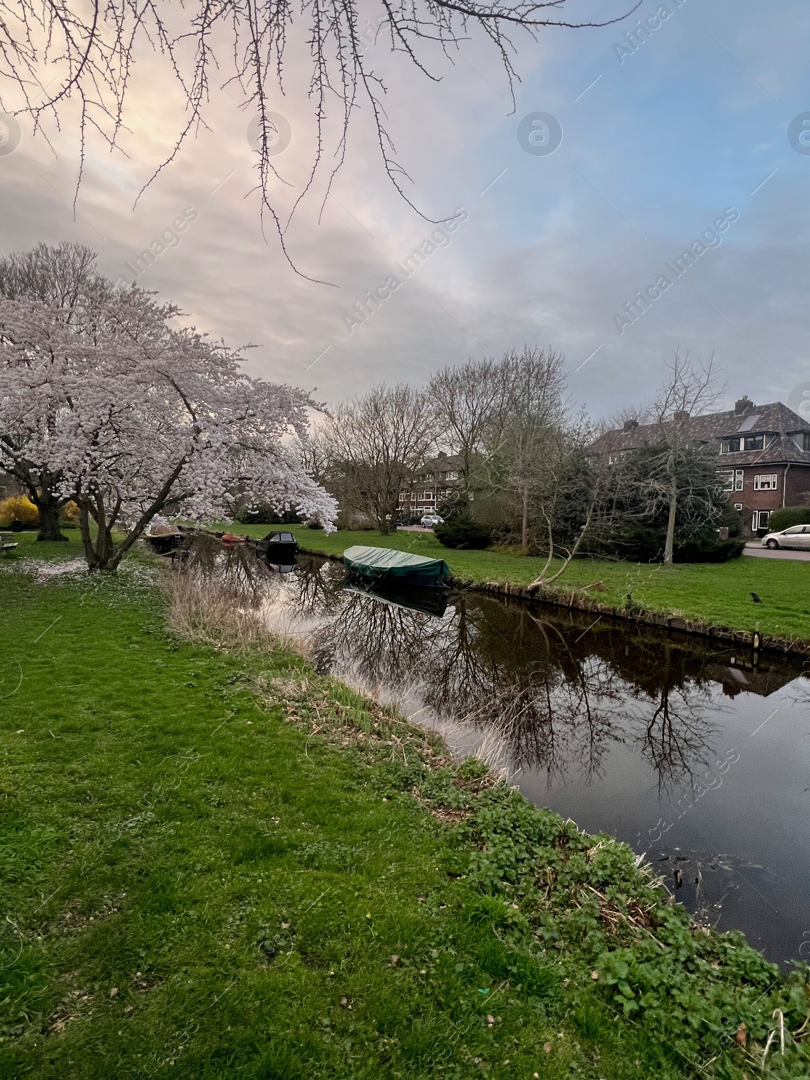 Photo of Picturesque view of canal with moored boats and blossoming trees in spring