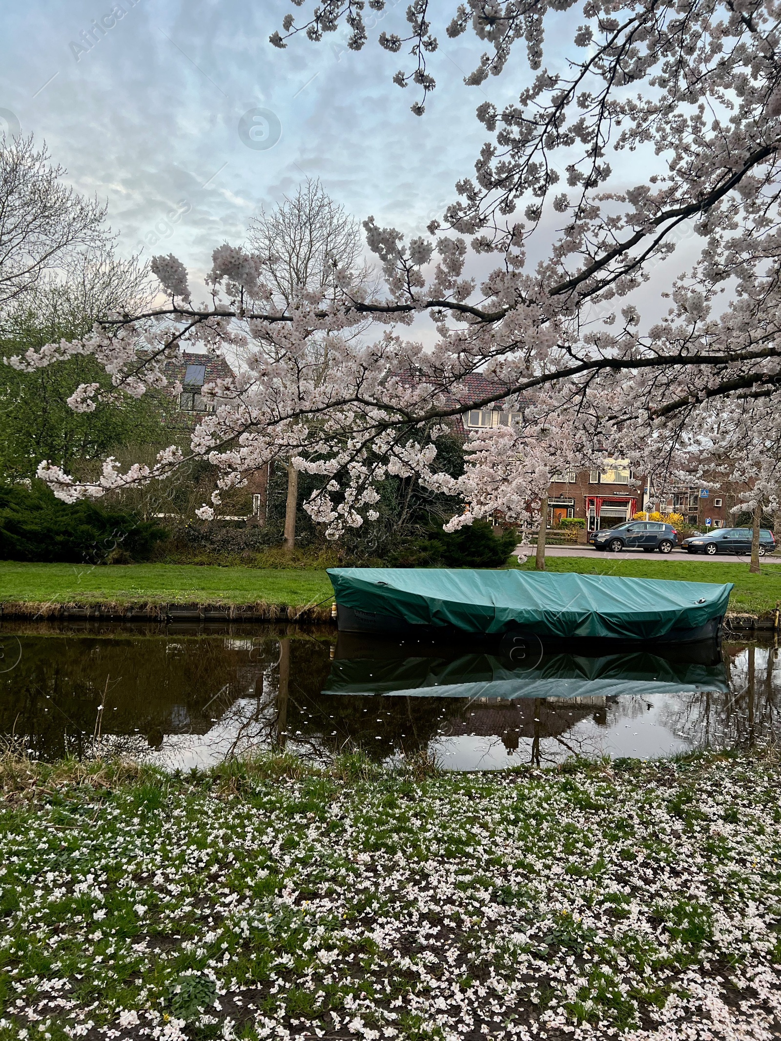 Photo of Picturesque view of canal with moored boat and blossoming tree in spring