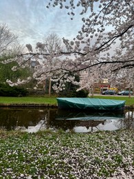 Photo of Picturesque view of canal with moored boat and blossoming tree in spring