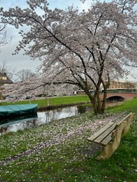 Photo of Picturesque view of canal with moored boat and blossoming tree in spring