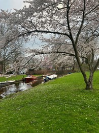 Picturesque view of canal with moored boats and blossoming trees in spring