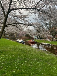 Picturesque view of canal with moored boats and blossoming trees in spring