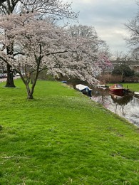 Photo of Picturesque view of canal with moored boats and blossoming trees in spring